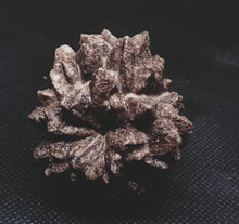 Load image into Gallery viewer, Whitw Cliff Pineapple Opal Potch Fossil no Color Ultra rare
