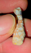 Load image into Gallery viewer, 6.91ct Crinoid Coober Pedy
