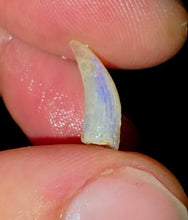 Load image into Gallery viewer, Opalised Australian Plesiosaur Fossil Tooth Coober Pedy
