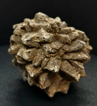 Load image into Gallery viewer, Whitw Cliff Pineapple Opal Potch Fossil no Color Ultra rare - Limanty
