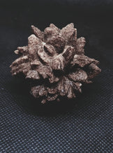 Load image into Gallery viewer, Whitw Cliff Pineapple Opal Potch Fossil no Color Ultra rare
