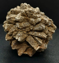 Load image into Gallery viewer, Whitw Cliff Pineapple Opal Potch Fossil no Color Ultra rare - Limanty
