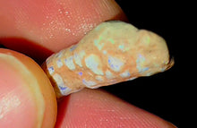 Load image into Gallery viewer, 6.91ct Crinoid Coober Pedy
