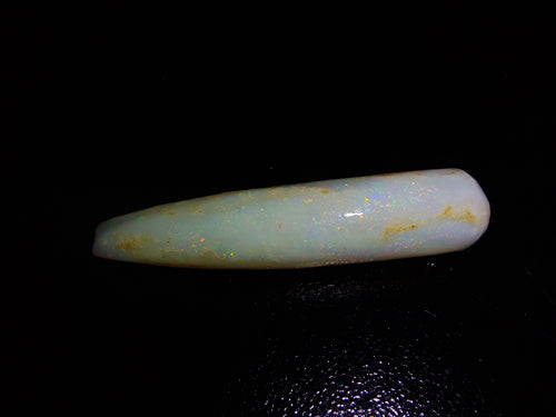 16.29Ct Belemnite Opalized Fossil - Limanty