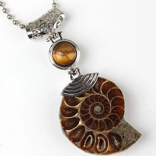 Rare Ammonites Pendant - Limanty
