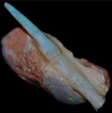 Load image into Gallery viewer, Opalised Belemnite with Clam - Limanty
