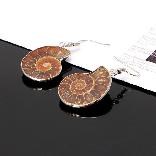 Ammonite Spiral  Earrings - Limanty