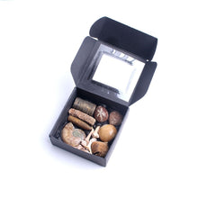 Load image into Gallery viewer, Elegant Mystery Box Set of Fossils and Seafish Shark Teeth - Limanty
